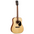 Cort AD880 Acoustic Guitar