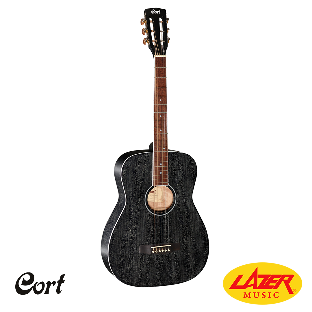 Acoustic Guitars