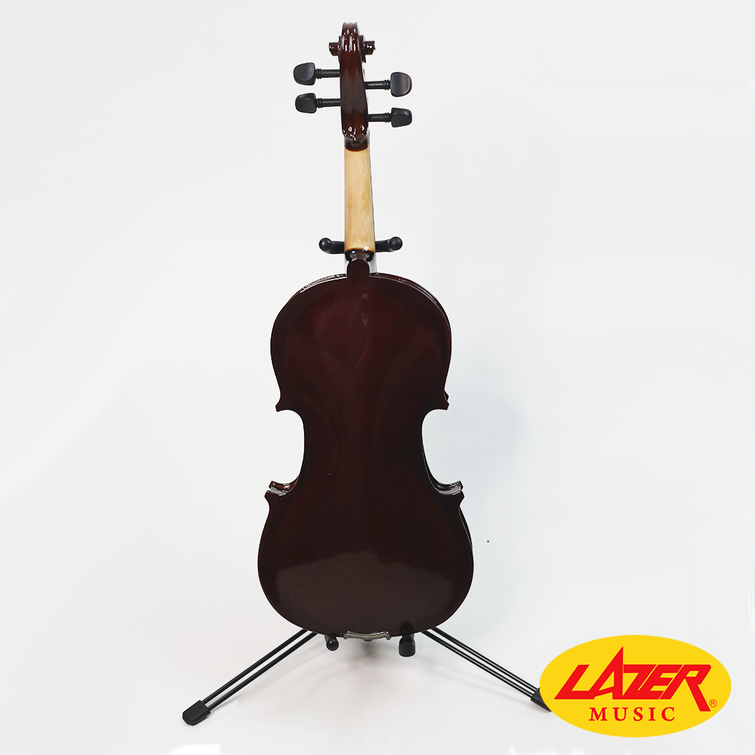 Lazer 3115FL Violin with Colored Design
